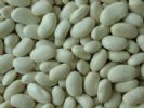 White Kidney Bean Extract